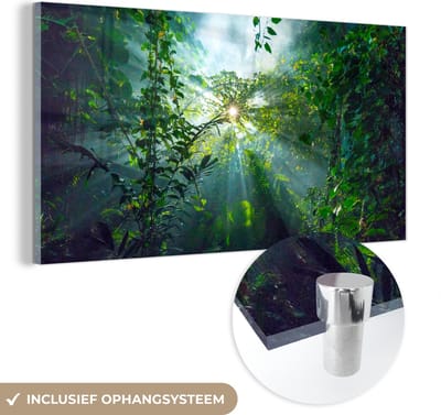 MuchoWow® Glasschilderij 120x60 cm - Schilderij acrylglas - De zon schijnend door de bossen van een regenwoud in Maleisië - Foto op glas - Schilderijen