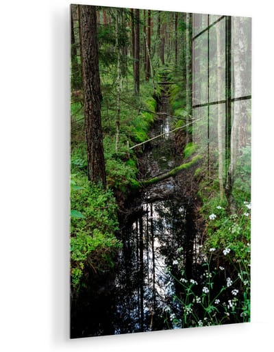 ® Glasschilderij 120x180 cm - Schilderij acrylglas - Beekje in het hart van het bekende Poolse bos Białowieża - Foto op glas - Muurdecoratie woonkamer - Wanddecoratie slaapkamer - Schilderijen