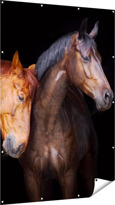 Gards Tuinposter Twee Bruine Paarden Koppel - Liefde - 120x180 cm - Tuindoek - Tuindecoratie - Wanddecoratie buiten - Tuinschilderij