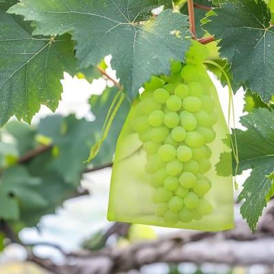 SnelShoppen - 100 stuks fruitbeschermende netzakken - Grote groene organza geschenkzakken 20 x 30 cm voor tuinplanten, fruitbomen, aardbeien, druiven