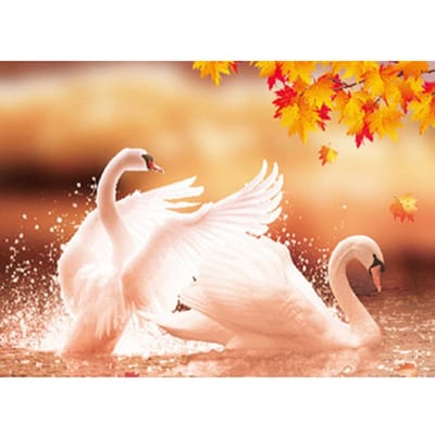 Cross Stitch Kit DIY Diamond Borduren Mooie zwaan Diamond Painting Mozaïek Home Decor 40X50CM