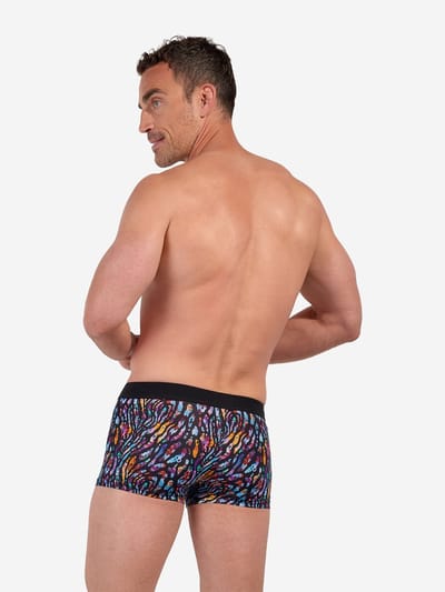 HOM Trunk Trunk Miami