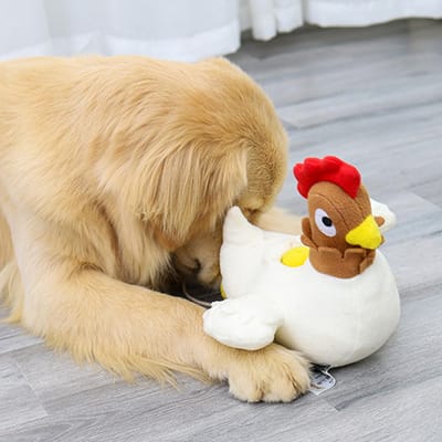 Pluche Kip Hondenspeeltje Zacht Veilig Tandenpoetsen Gezond Blijven Bijtbestendig Educatief Huisdierspeeltje voor Kleine Middelgrote Honden beige