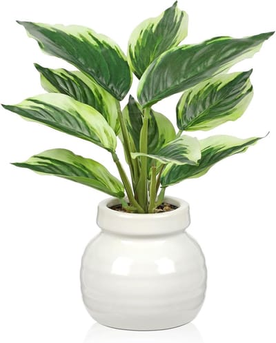 Kunstplant in keramische pot - Kunststof bladeren met witte randen - Perfecte decoratie voor thuis - ShopVlot