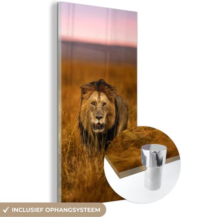 MuchoWow® Glasschilderij 20x40 cm - Schilderij acrylglas - Leeuw - Savanne - Gras - Foto op glas - Schilderijen