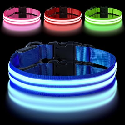 Oplaadbare Dubbele LED Hondenhalsband met Type C en D Ring, Waterdicht voor Kleine, Middelgrote en Grote Honden, Veiligheid en Zichtbaarheid Verhoogd
