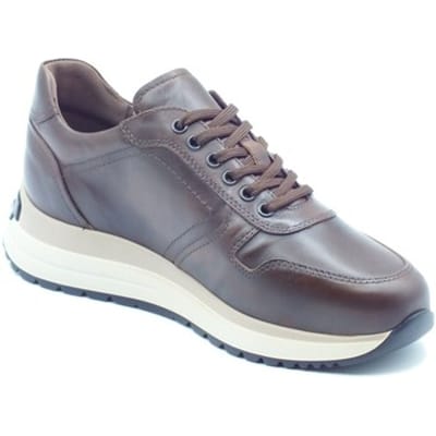 Lage Sneakers NeroGiardini I601301U Delavato