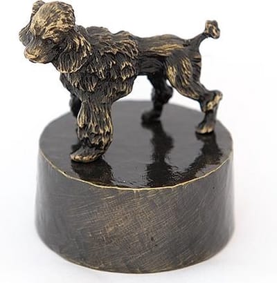 Honden urn verbronsd Konings Poedel