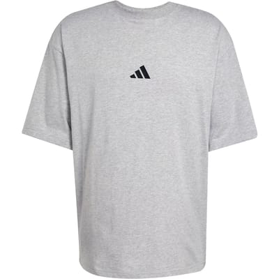Adidas Future Icons Small Logo T-shirt Met Korte Mouwen Grijs S / Regular Man