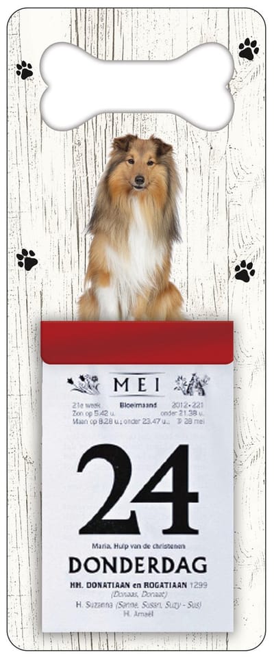 Scheurkalender 2027 Hond: Shetland Scheepdog(Sheltie)