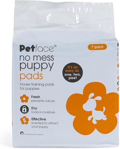 Puppy Trainingspads - Hondenplasmatjes - Zindelijkheidstraining - Absorberend en Geurbestendig - 60 x 58 cm - Wit met accenten