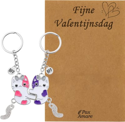 Koppel Sleutelhanger voor 2 'Fijne Valentijnsdag' - Magnetische Katjes - Sleutelhanger set op Cadeau Kaartje - Zilverkleurig - Vriendschap of Relatie Symbool - Pax Amare