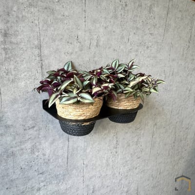 Industriële Plantendrager – Matzwart Staal (3mm) | Voor 2 Planten | Duurzaam & Stijlvol | Weterings Store