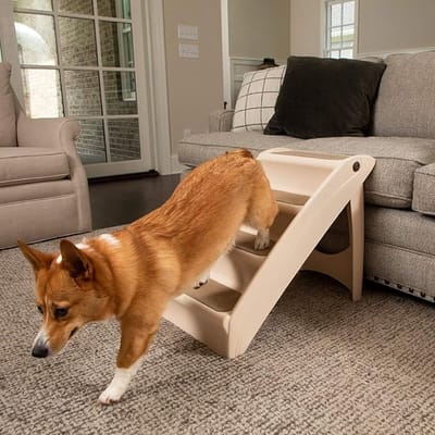 hondentrap voor bed, bank, schuim met hoge dichtheid, wasbaar, huisdiertrap voor honden en katten, 40.96 x 13.65 x 78.74 cm
