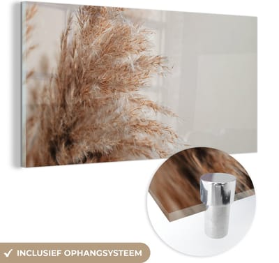 MuchoWow® Glasschilderij 40x20 cm - Schilderij acrylglas - Gras - Planten - Natuur - Pampasgras - Foto op glas - Schilderijen