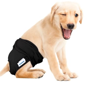Nobleza hondenbroekje - Luierbroekje - wasbaar - herbruikbaar - incontinentiebroekje voor honden - Zwart - XS