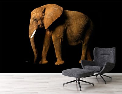 Fotobehang ElephantSite DD114676 A.S. Création XXL 5 | 3D Fotobehang