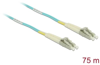 Delock Cable Optical Fibre LC Duplex Multi-mode OM3 75 m