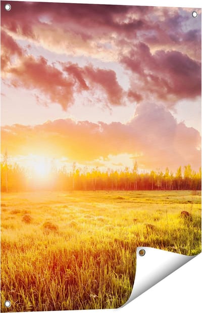Gards Tuinposter Zonsopkomst in het Veld - 60x80 cm - Tuindoek - Tuindecoratie - Wanddecoratie buiten - Tuinschilderij