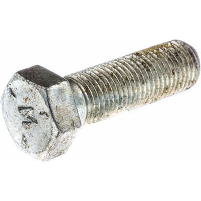 Bolt
