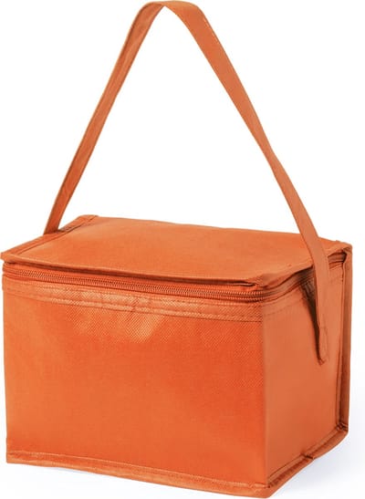 Koeltas - Koeltasje klein - Koeltassen - Geschikt voor 6 33cl blikjes - 4 liter - Oranje