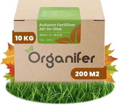 Najaarsmest All-In-One (10kg, 200m2) - Rijk aan Kalium - Gazonmest Najaar - Gazonsmeststof - Organische Meststof - Najaarsmest - Verhoogt de Weerstand van het Gazon tegen Vorst, Droogte, Ziektes en Betreding - Organifer