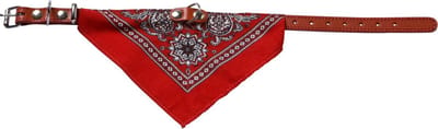 Adori Halsband Met Zakdoek Rood - Hondenhalsband - 30x1.2 cm