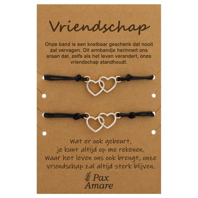 Vriendschapsarmbandjes voor 2 met Dubbel Hart - Zilver - Elastisch verstelbaar - Vriendschap Cadeau - Pax Amare