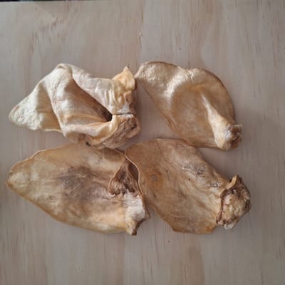 Carlos Runder Oren zonder pit