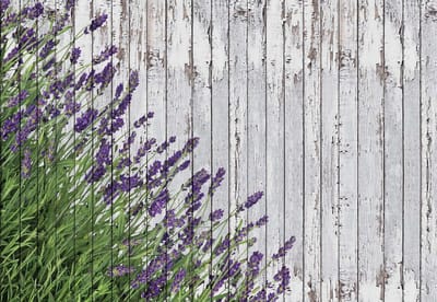 Fotobehang Lavendar Wood Planks | XL - 208cm x 146cm | 130g/m2 Vlies