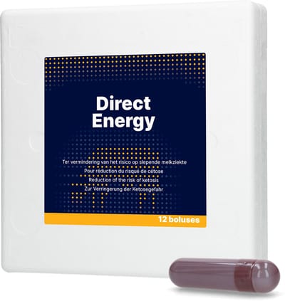 Direct Energie Bolus - Dieetvoeder koeien - Diervoeding - met PensStimulans - 12 stuks - 67 gram