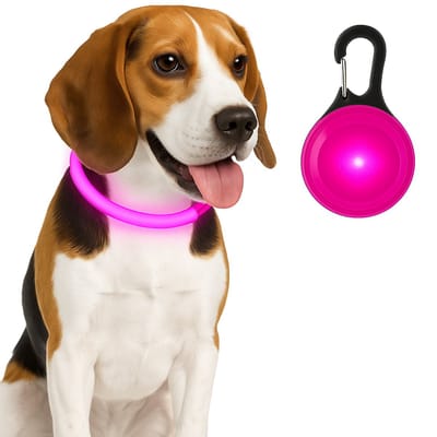 Professor Q - Led Halsband Roze S & Honden Lampje Roze Set