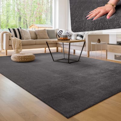Paco Home Moderne woonkamer tapijt kortpolig wasbaar zacht uni effect bont antislip 300x400 cm
