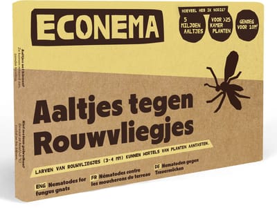 Aaltjes tegen Rouwvliegjes – 20 m² / 50 planten – kleine zwarte vliegjes bij kamerplanten bestrijden