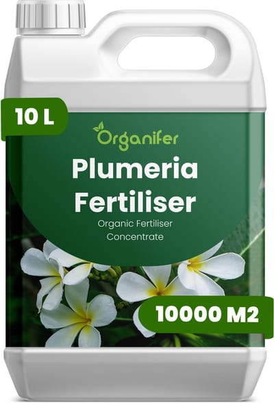 Vloeibare Meststof Voor Plumeria 10 L Voor 10000 M2 - Npk 3-4-3 - Sterke Groei - Rijke Bloei - Bloemkleur - Bloemgrootte - Geurintensiteit - Droogteresistentie - Bladgezondheid - Langdurige Bloeicycli - Organifer