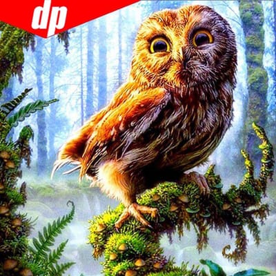 Broderie diamant complète Animal Hibou 5D Peinture diamant Point de croix 25x25 black