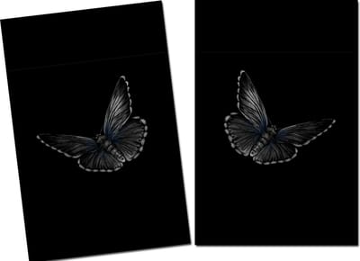 Papillon Inductie Beschermers - 2 stuks kookplaatbeschermer - 60x40 - Vlinder zwart-wit