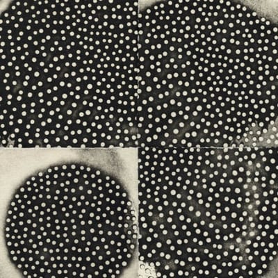 K. Leimer - Proximate Forms (CD)