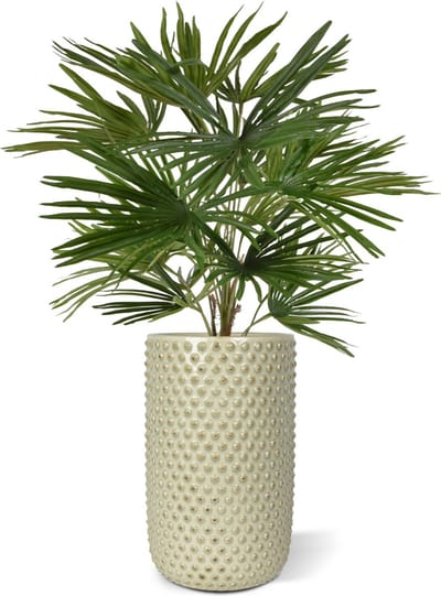 Baby Fan kunstpalm 45cm