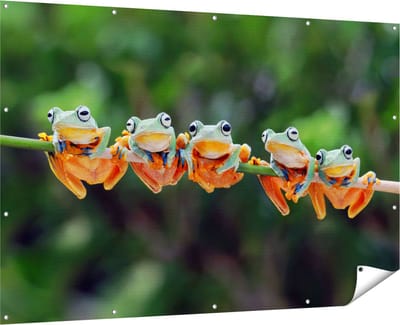 Gards Tuinposter Groep Kikkers op een Tak - 180x120 cm - Tuindoek - Tuindecoratie - Wanddecoratie buiten - Tuinschilderij