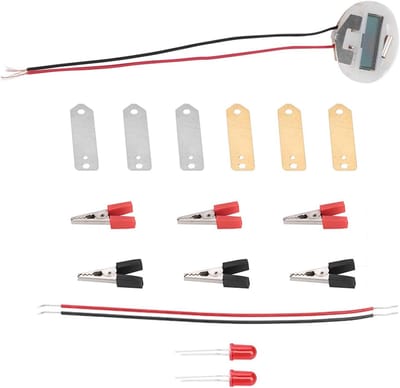 Educatieve Wetenschapskit voor Kinderen - Fruitbatterij Experimenten met Aardappelen en Bio-Energie, Leuk en Leerzaam!