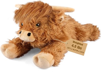 Core® Verzwaaringsknuffel - Verzwaarde Knuffel - Spanningskuffel - 2 kg - Poes - Oranje - ‎26x 13x 69cm; 2.25 kg