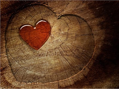 Fotobehang - Eternal love.