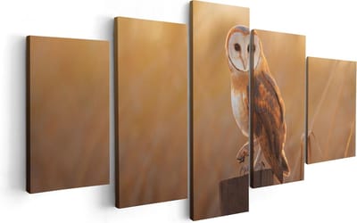 Artaza Canvas Schilderij Vijfluik Kerkuil Op Een Boomstronk - 100x50 cm - Wanddecoratie Woonkamer - Schilderijen - Muurdecoratie