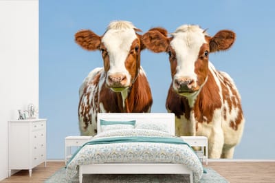 Behang - Fotobehang Koeien - Lucht - Dieren - Boerderij - Portret - Breedte 600 cm x hoogte 400 cm