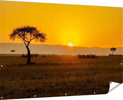 Gards Tuinposter Zonsopgang in de Savanne met een Boom - 180x120 cm - Tuindoek - Tuindecoratie - Wanddecoratie buiten - Tuinschilderij