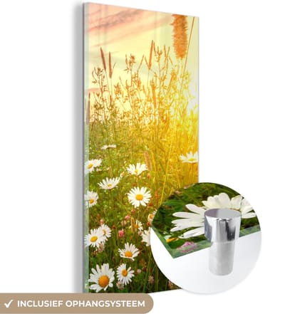 MuchoWow® Glasschilderij 20x40 cm - Schilderij acrylglas - Bloemen - Madelief - Natuur - Zon - Horizon - Foto op glas - Schilderijen