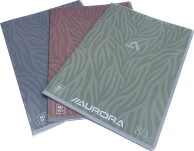 Schriften Avino's A4 ruit 10 mm per 10 stuks assortiment
