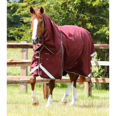 Waterdichte paardendeken met halsbedekking Premier Equine Buster 0 g