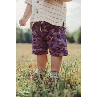 Louise Misha Shorts Aliki Purple Past Fields Maat: 24M | Broeken Outlet | Unisex | Paars